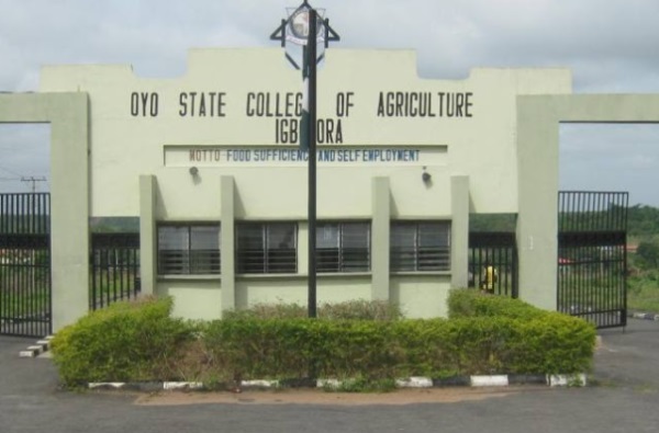 OYSCATECH Admission List